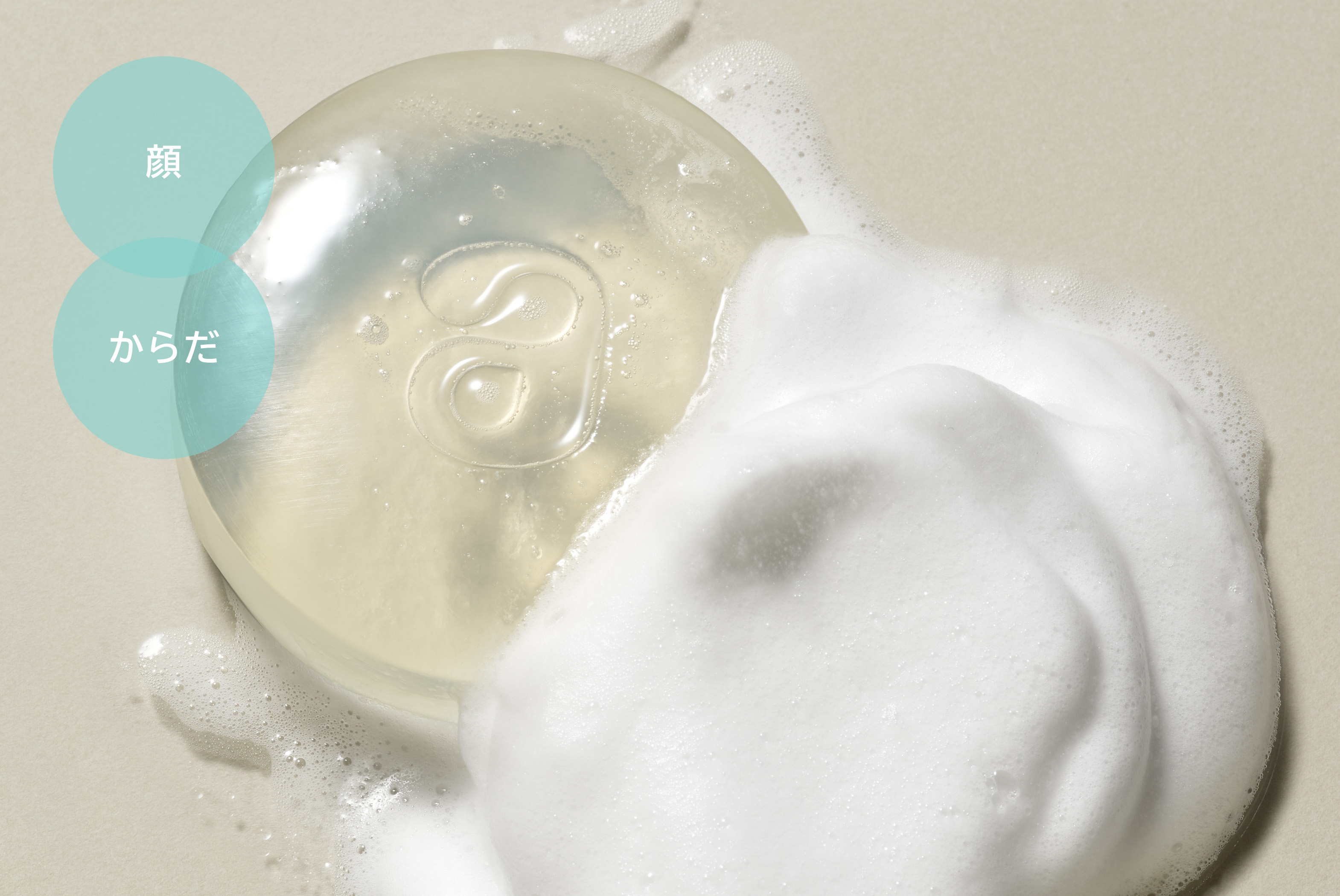 顔/からだ